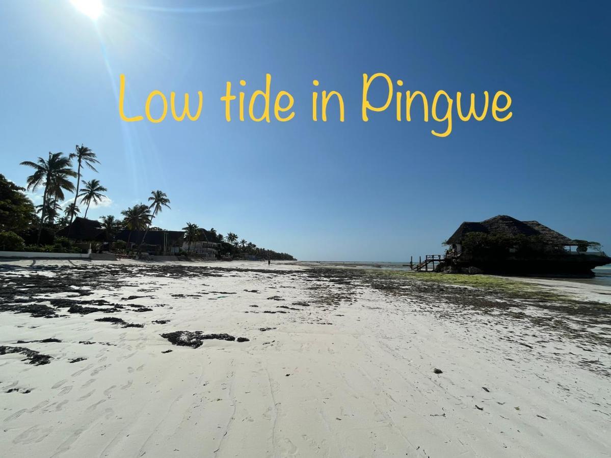 Tropical Boutique Hotel & Resto Pingwe Luaran gambar